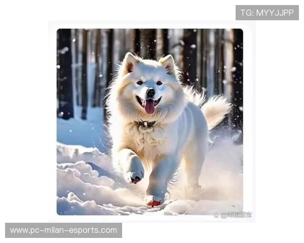 足球球星们宠爱的狗狗品种与名字大揭秘